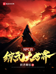 NPC的综武大世界" width="120" height="150"