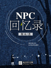 NPC回忆录" width="120" height="150"