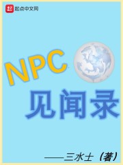 NPC见闻录" width="120" height="150"