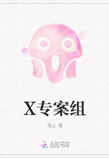 X专案组" width="120" height="150"