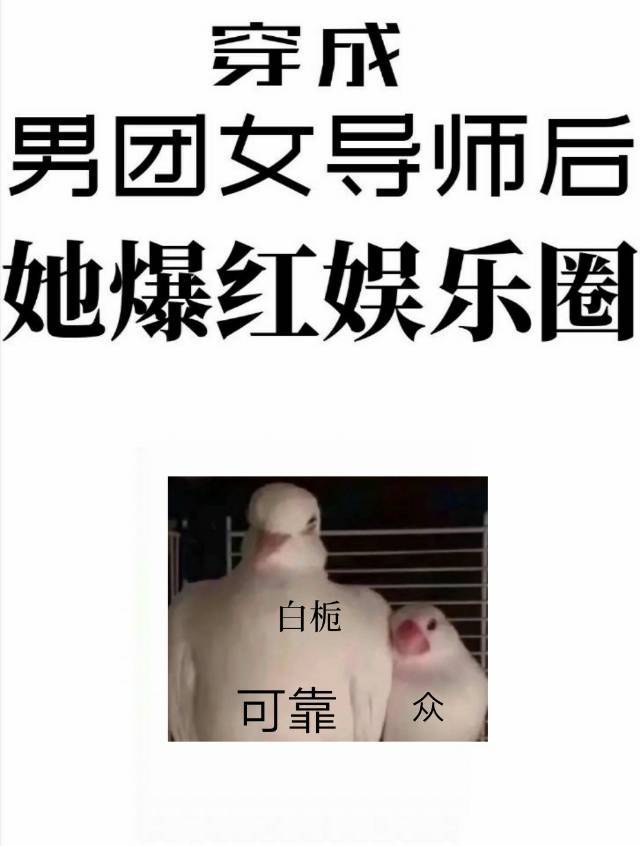 穿成男团选秀女导师后她爆红娱乐圈" width="120" height="150"