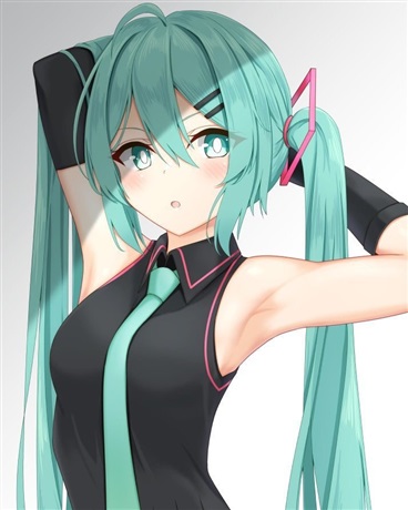 次元壁的初音" width="120" height="150"