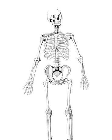 大号没了所以气死变成写作素材" width="120" height="150"