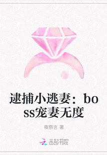 逮捕小逃妻：boss宠妻无度" width="120" height="150"