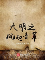 大明之风起青苹" width="120" height="150"