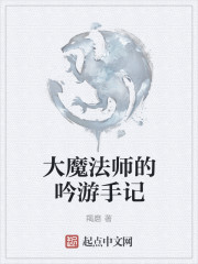 大魔法师的吟游手记" width="120" height="150"