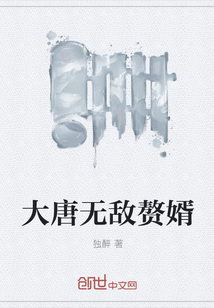 大唐无敌赘婿" width="120" height="150"