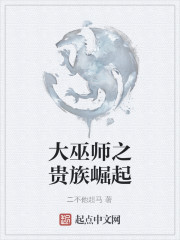 大巫师之贵族崛起" width="120" height="150"