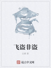 飞盗非盗" width="120" height="150"