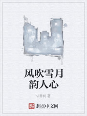 风吹雪月韵人心" width="120" height="150"