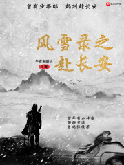 风雪录之赴长安" width="120" height="150"