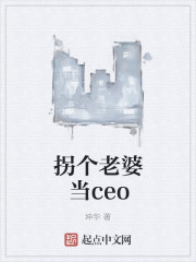 拐个老婆当ceo" width="120" height="150"