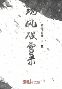 观风破雪录" width="120" height="150"