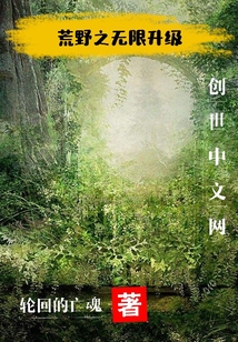 荒野之无限升级" width="120" height="150"