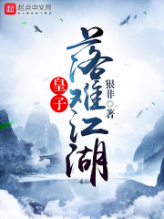 皇子落难江湖" width="120" height="150"