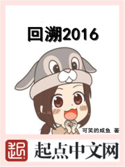 回溯2016" width="120" height="150"