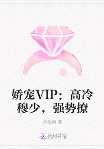 娇宠VIP：高冷穆少，强势撩" width="120" height="150"