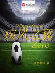 疾风之翼Zero" width="120" height="150"