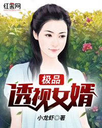 极品透视女婿" width="120" height="150"