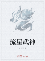 流星武神" width="120" height="150"