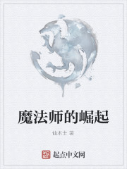 魔法师的崛起" width="120" height="150"