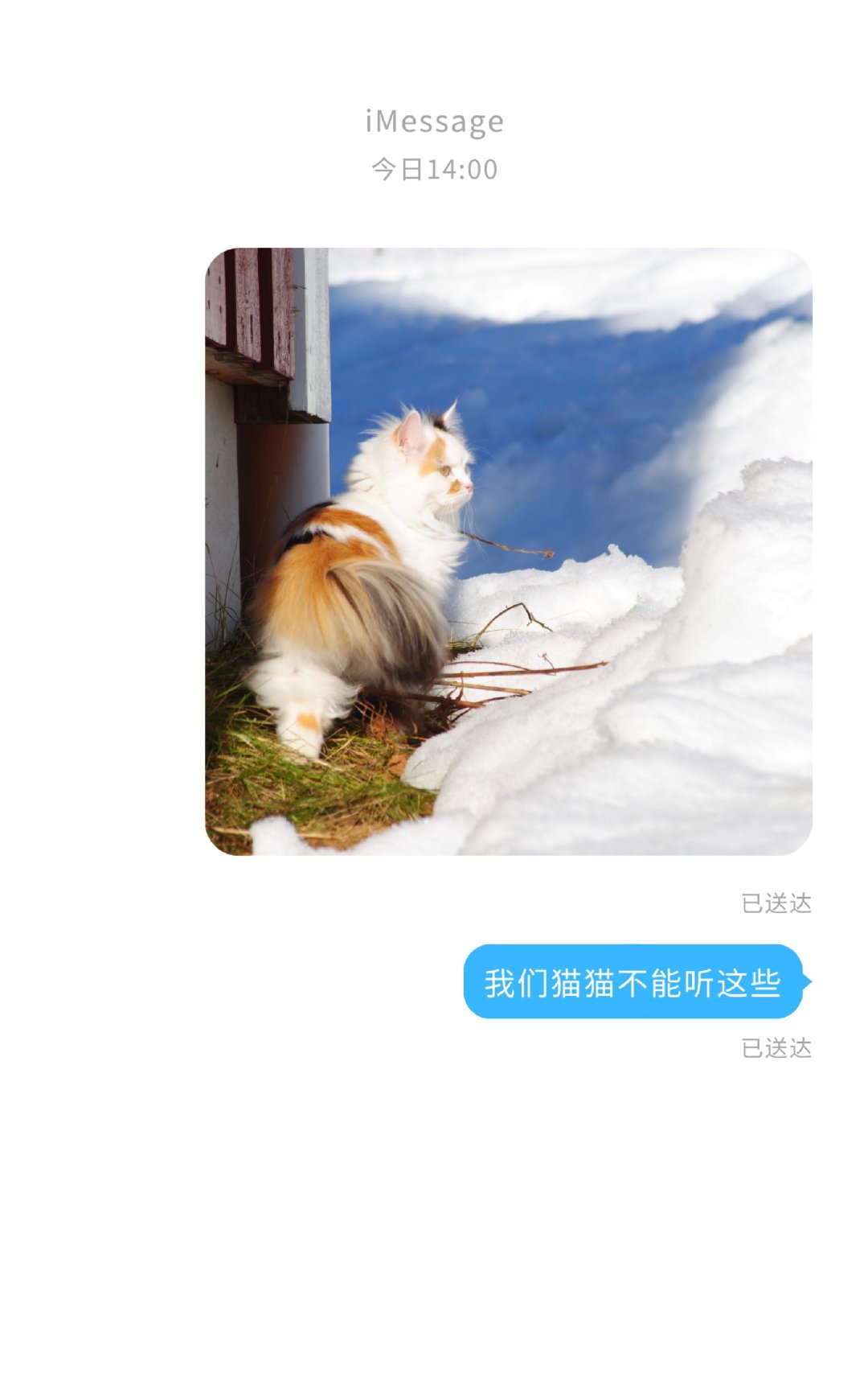 我们猫猫不能听这些" width="120" height="150"