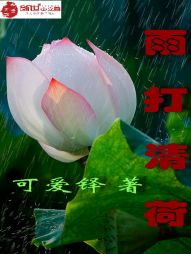 雨打清荷" width="120" height="150"