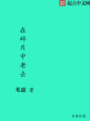 在碎片中老去" width="120" height="150"