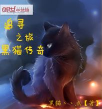 追寻之旅：黑猫传奇" width="120" height="150"